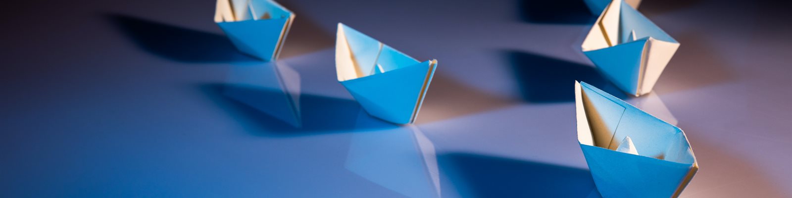 The Blossoming Leaders: Nurturing Growth in the Magnolia Software Ecosystem